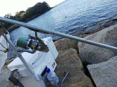 室津のキス釣り