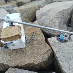 室津のキス釣り