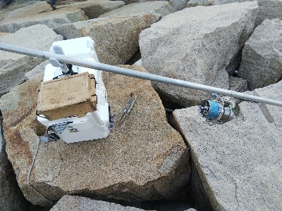 室津のキス釣り