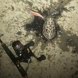 渋かった･･･