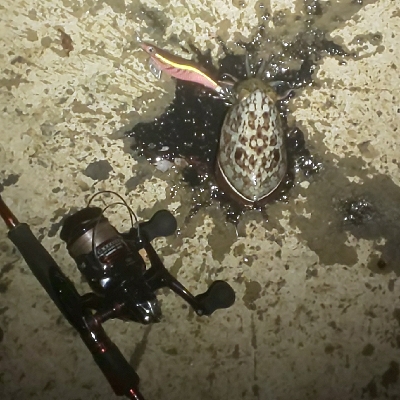 渋かった･･･