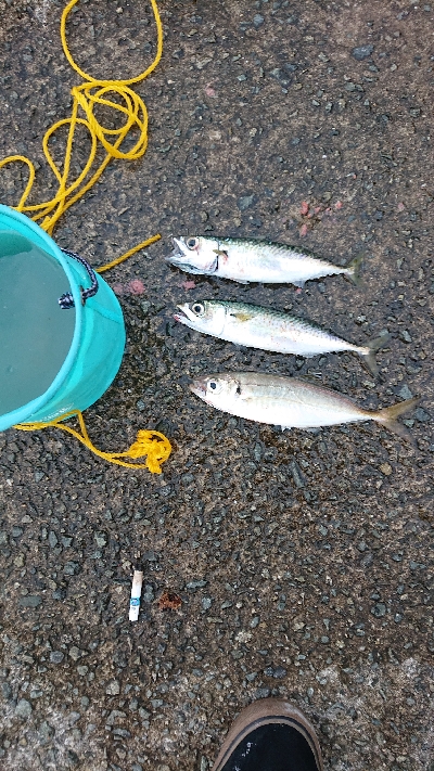 西宮ケーソン 祝日 賑わい