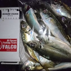 フロートアジング