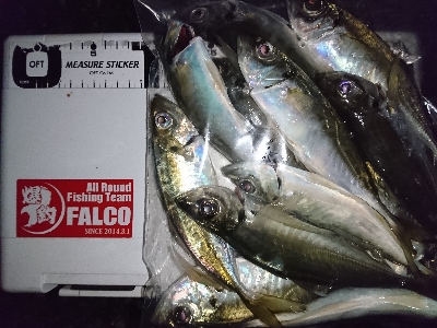 フロートアジング