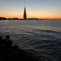 何処でも何時ものアジバラシ