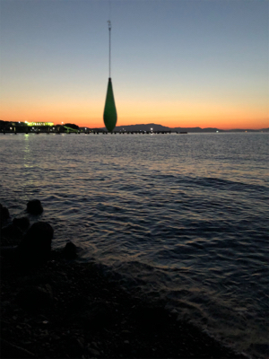 何処でも何時ものアジバラシ