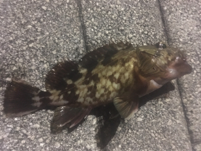 期日前投票を済ませてから