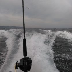 続、船太刀魚テンヤ