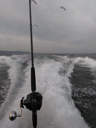 続、船太刀魚テンヤ