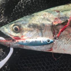 サゴシDAY！！2020ライトゲーム第31戦