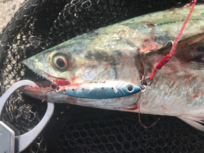 サゴシDAY！！2020ライトゲーム第31戦