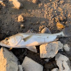 10月最後の釣行