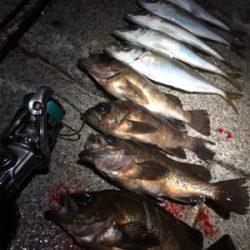 満月ハロウィンアジング