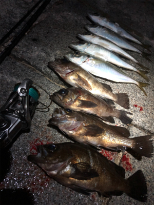 満月ハロウィンアジング