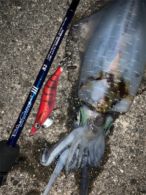 ジグではエソしか釣れん海