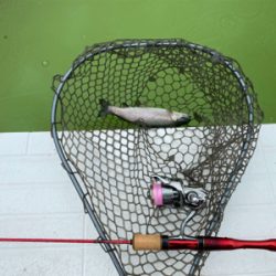 服部緑地　プールトラウト　管釣り