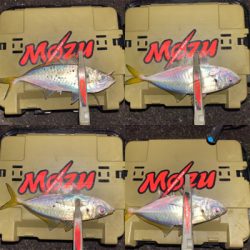 豆の中から良型を獲る