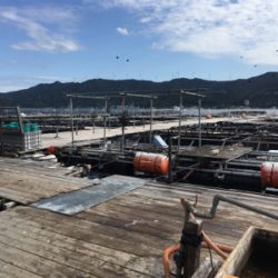 3ヶ月ぶりの釣り