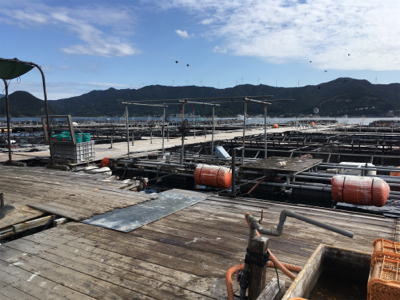 3ヶ月ぶりの釣り