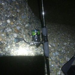 NEWロッドで障泥烏賊1杯！秋烏賊60杯！！