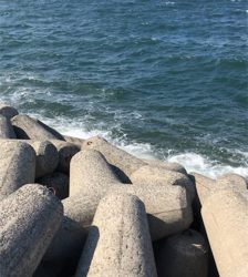 エソと間違う引き