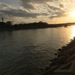 まったりフラッシュ