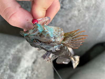 爆風ライトゲーム