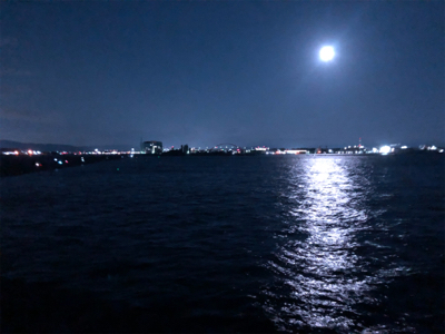 お久しぶりのタチウオ