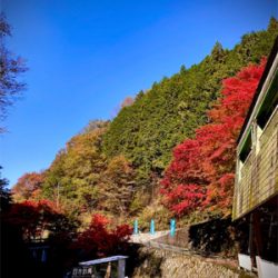 千早マス釣り場　