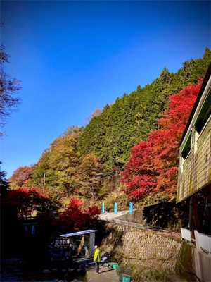 千早マス釣り場　