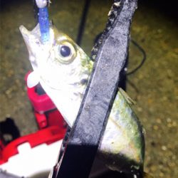 レベロクアジング