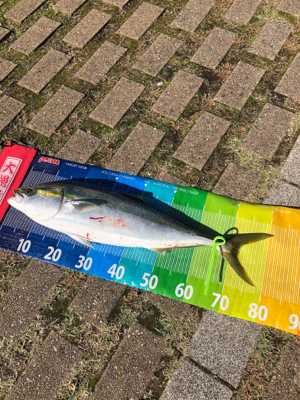 今年の目標達成!!!