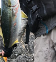 努力は報われるロックショア