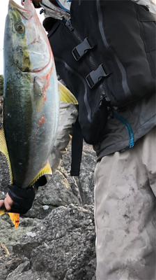 努力は報われるロックショア