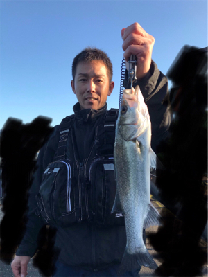 とにかくランガン