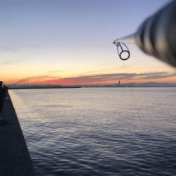 懲りずに人混みへ