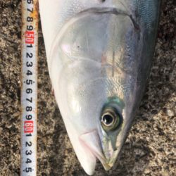 渋い中の値千金！