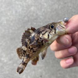 小物ワーム釣り