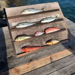 ウミックさんにて、レンタルボートでの釣果