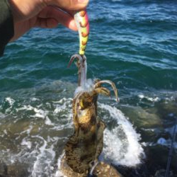 それぞれポロポロと