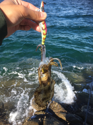 それぞれポロポロと