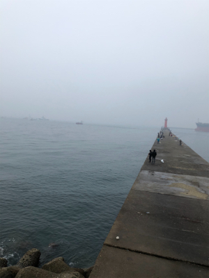 とりあえず一本