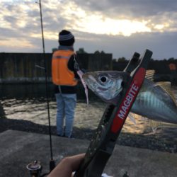 ファミリーアジング