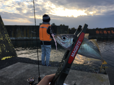 ファミリーアジング