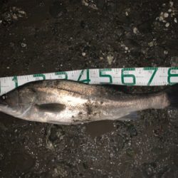 雨の中トップで!