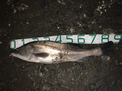 雨の中トップで！