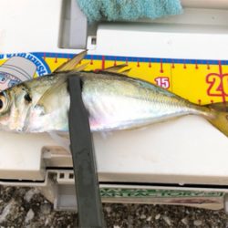 今日も風当たりが強かった⁉︎