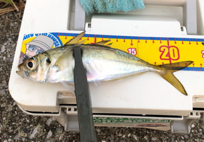 今日も風当たりが強かった⁉︎…