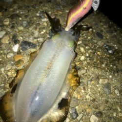 何とか1杯σ(^_^;)