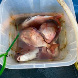 関門の一つテンヤ